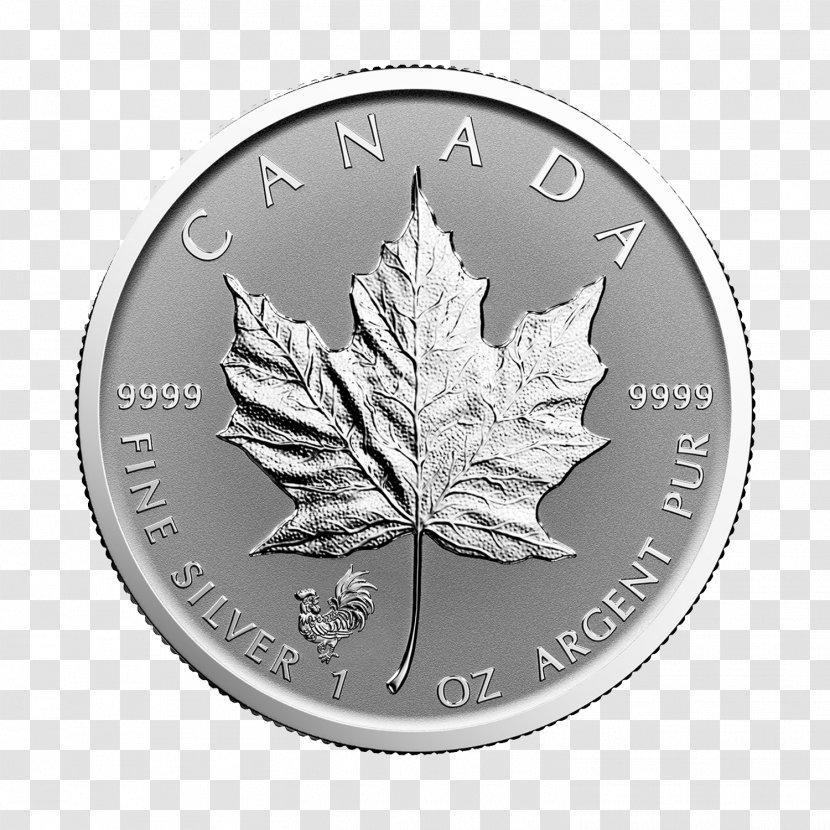 Canada Canadian Silver Maple Leaf Gold - Money Transparent PNG