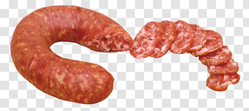 Salami Sausage Cervelat Knackwurst - Watercolor Transparent PNG