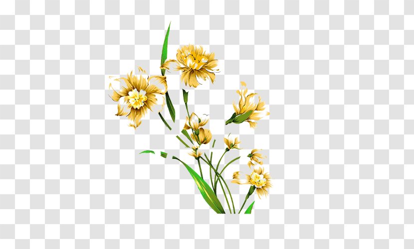 Narcissus Tazetta Watercolor Painting Flower Drawing - Bouquet - Hand Painted Yellow Wildflower With Green Leaves Transparent PNG