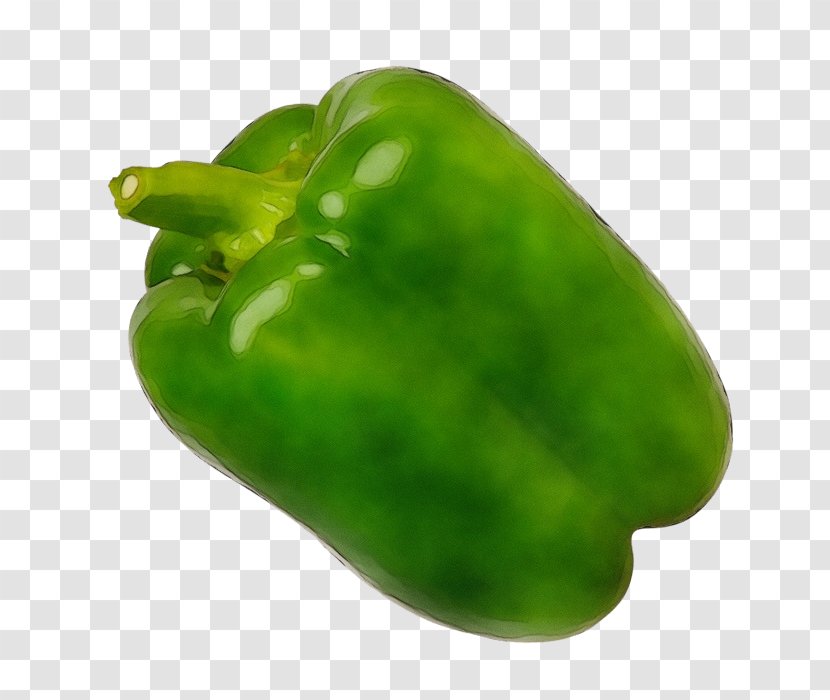 Bell Pepper Pimiento Green Peppers And Chili - Wet Ink - Plant Transparent PNG