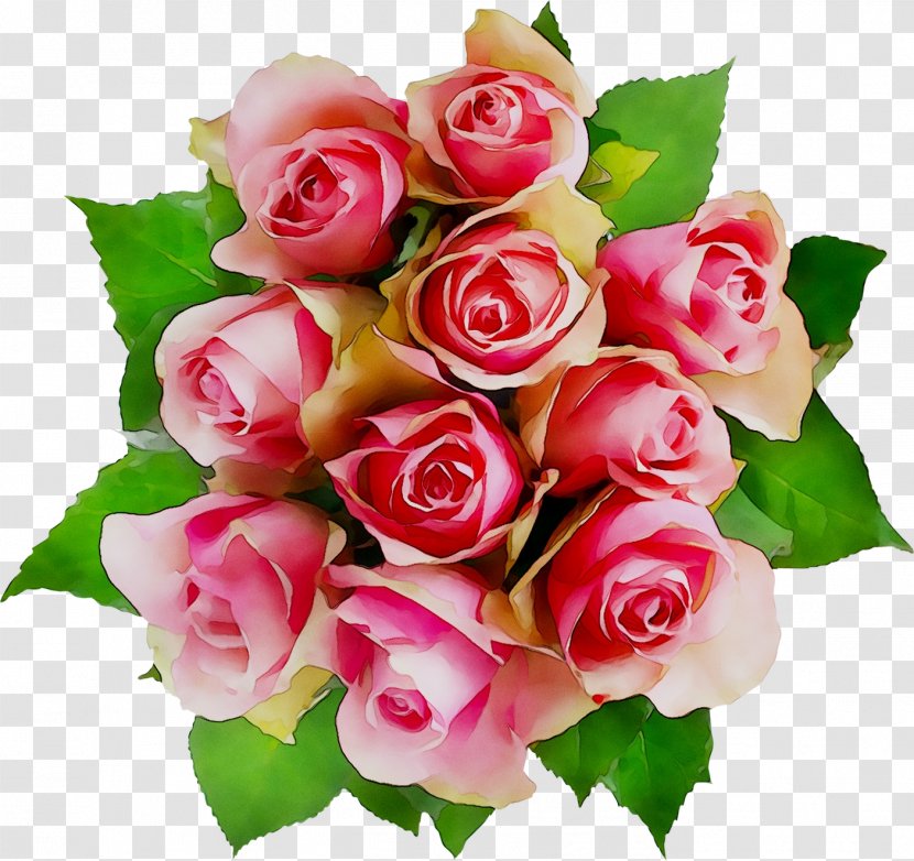Garden Roses Floral Design Photography Flower Bouquet - Rose Transparent PNG