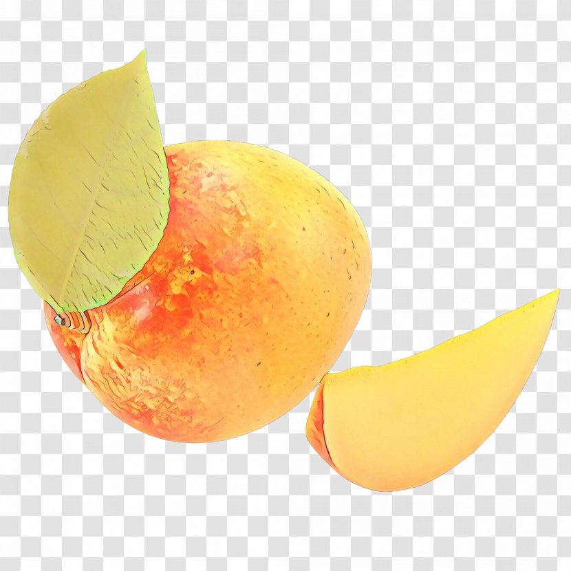 Mango - Fruit - Drupe Transparent PNG