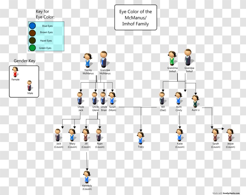 Pedigree Chart Eye Color Genetics Family Tree Dominance - Technology Transparent PNG