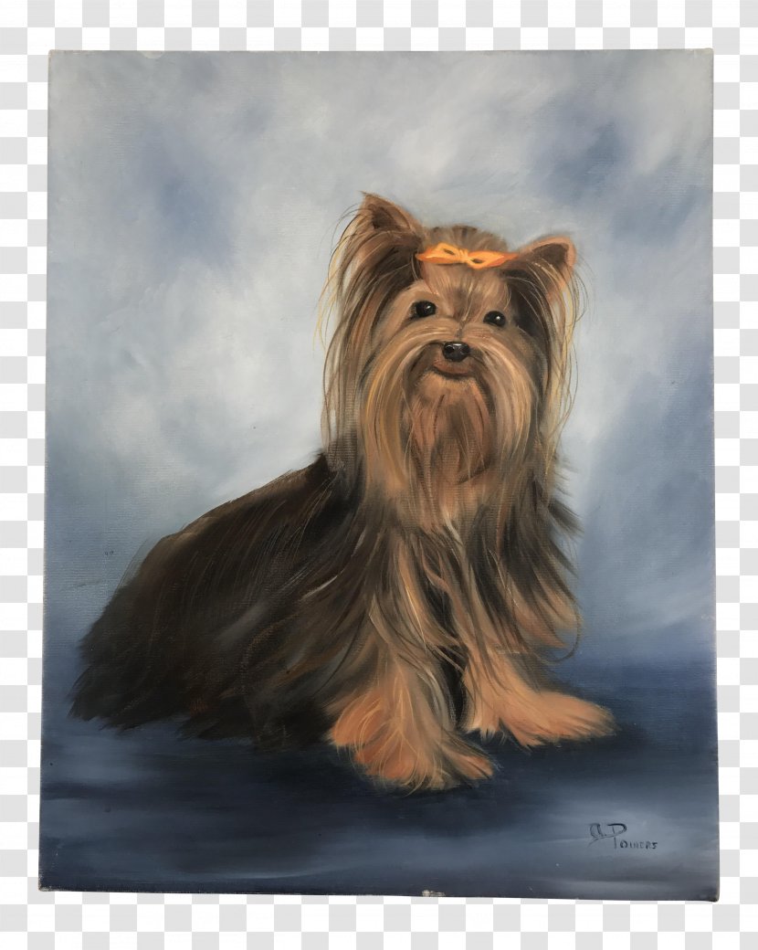 Yorkshire Terrier Australian Silky Cairn Companion Dog - Chairish - Painting Transparent PNG