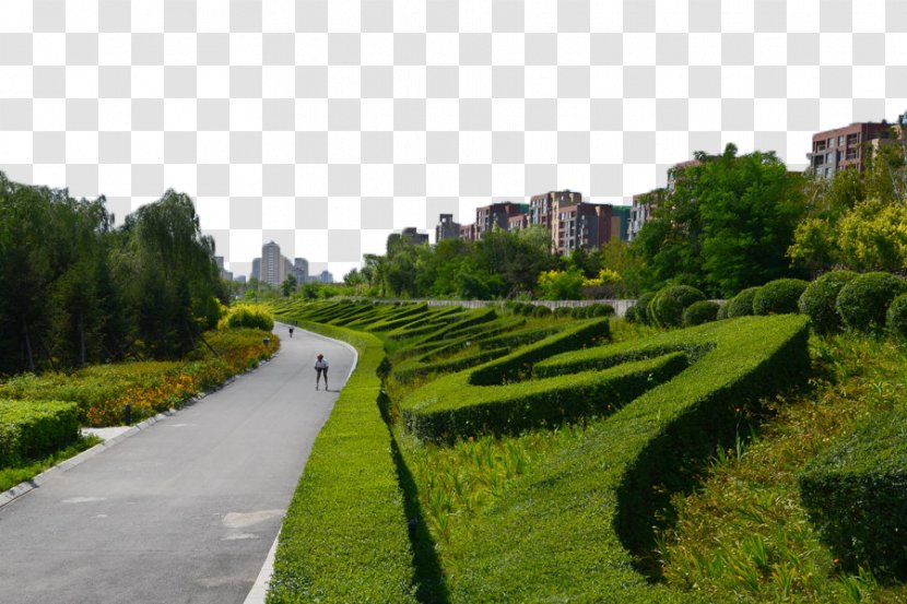 Highway Road - Garden - The Greening Of City Transparent PNG