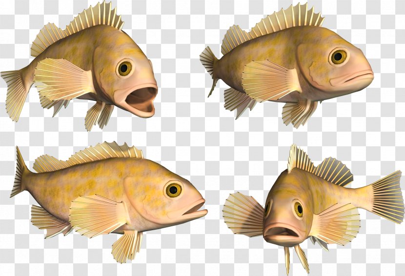 Deep Sea Fish - Information - Retro Cartoon Transparent PNG