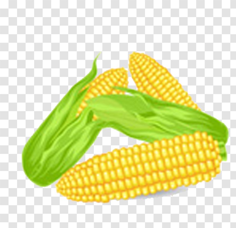 Corn On The Cob Kettle Maize Drawing - Royaltyfree Transparent PNG
