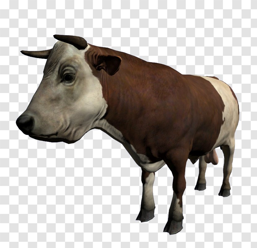 Cattle Ox Bull Calf DayZ - Terrestrial Animal - Spotted Transparent PNG