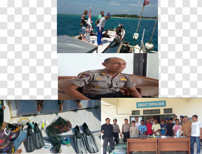 Polres Kotabaru Polisi Air Dan Udara Ajun Komisaris Besar Fishing Water - Ikan Transparent PNG