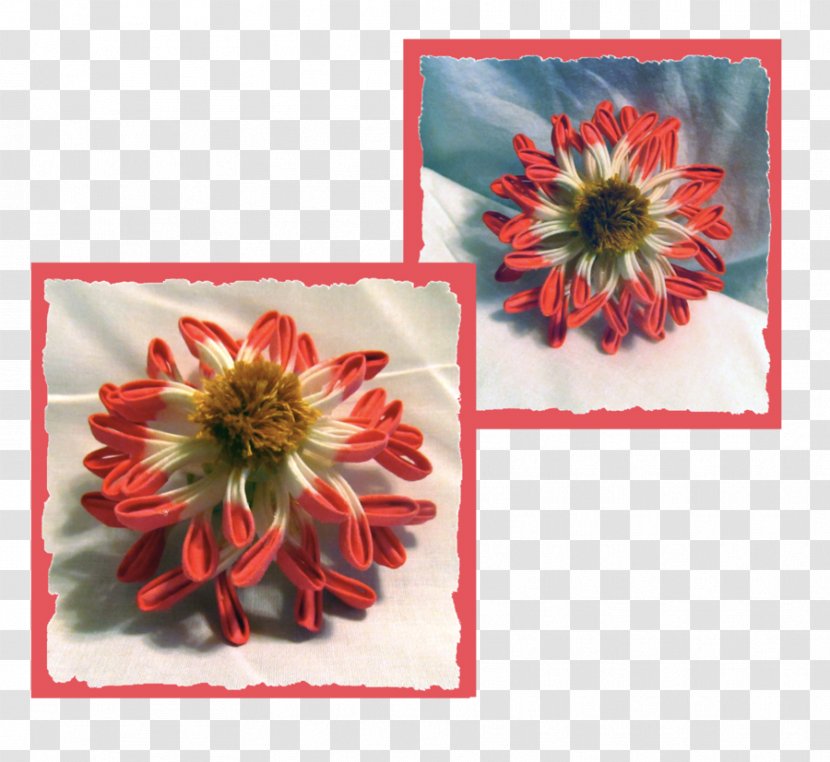 Transvaal Daisy Chrysanthemum Cut Flowers Petal - Chrysanths Transparent PNG