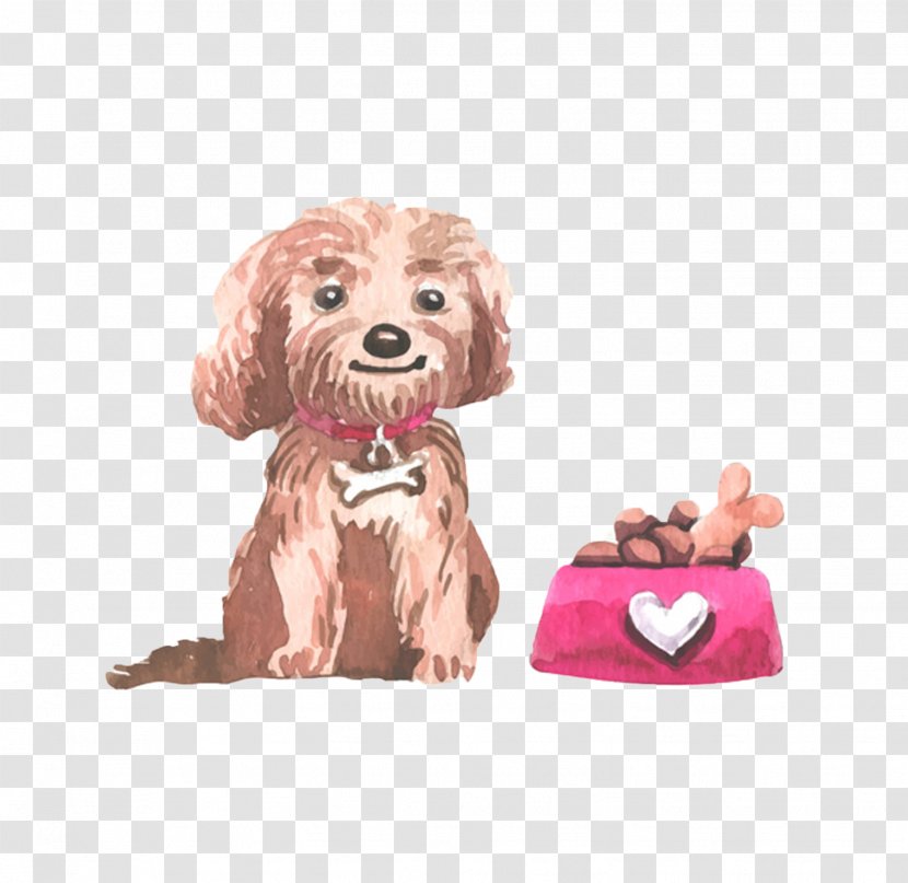 Dog Comb Illustration - Hand Colored Transparent PNG