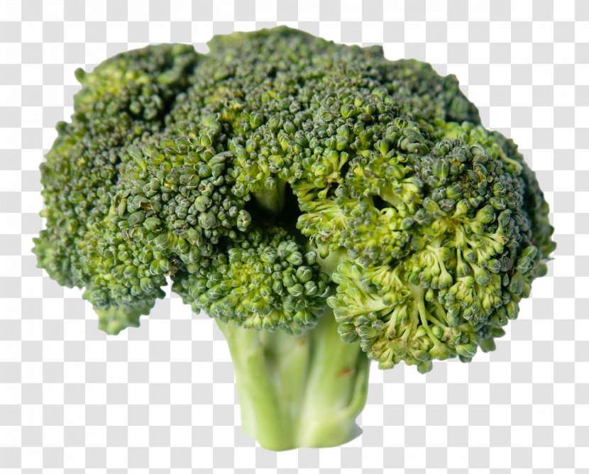 Broccoli Vegetable Food Transparent PNG