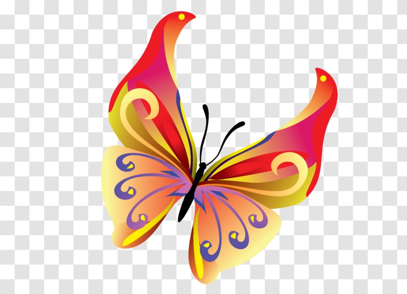 Butterfly Insect Clip Art - Effect Transparent PNG