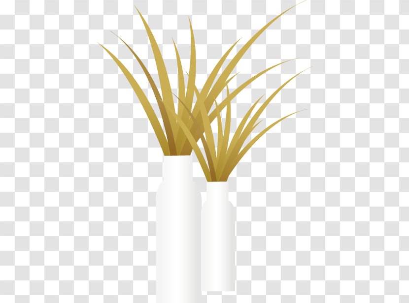 Vase Bottle - Plant Stem Transparent PNG