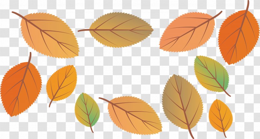 Leaf Autumn - Beautiful Leaves Transparent PNG