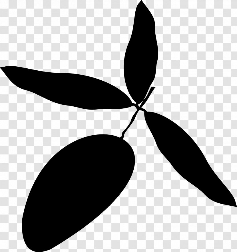 Leaf Clip Art Black & White - Botany - M Silhouette Plant Stem Transparent PNG
