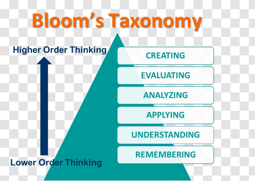 Admiralty Law Advocate Bloom's Taxonomy Person - Diagram Transparent PNG