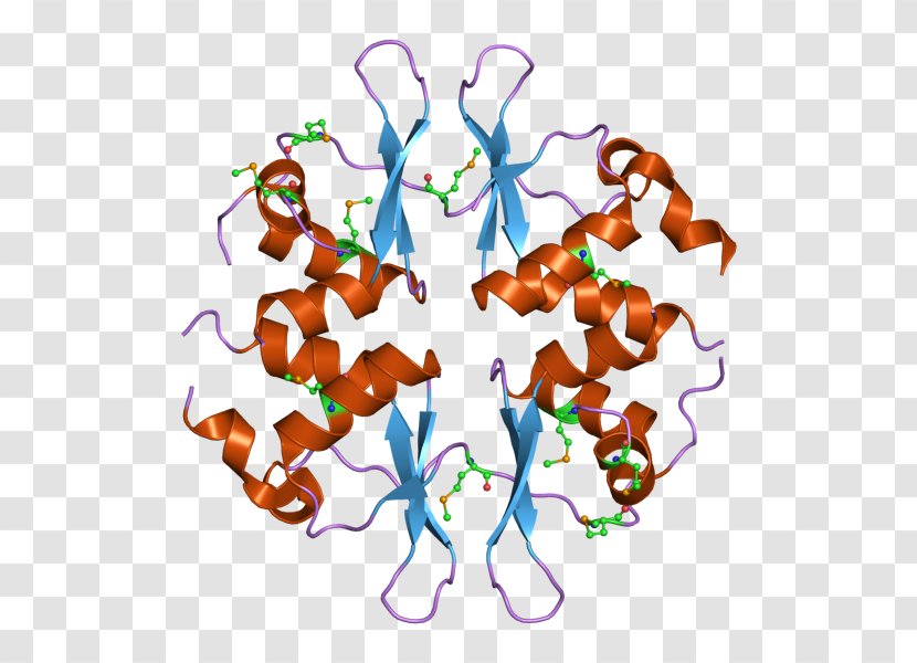 CBS Domain Protein CLCN1 Structure - Silhouette - Frame Transparent PNG