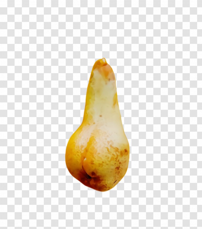 Nose Pear Plant Food - Wet Ink Transparent PNG