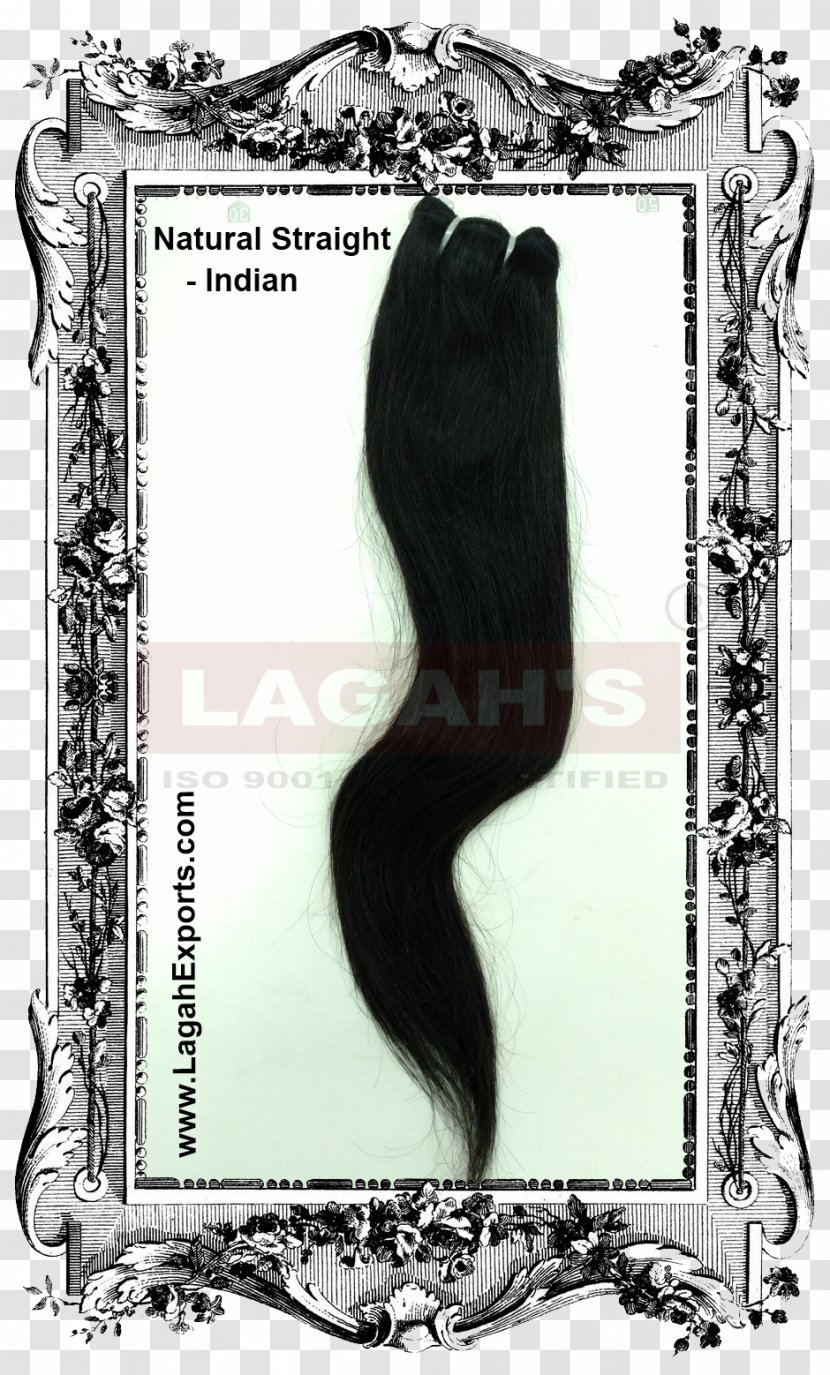LAGAH EXPORTS - Picture Frame - INDIA Length Inch DEV HAIR SamplingStraight Hair Transparent PNG