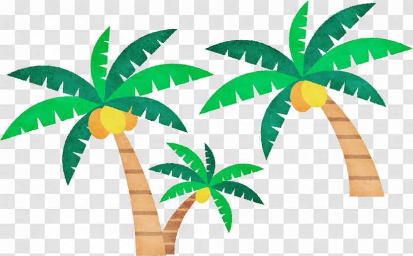 Palm Trees Transparent PNG