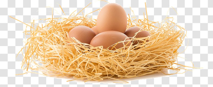 Chicken Bacon, Egg And Cheese Sandwich Edible Bird's Nest - Easter Transparent PNG