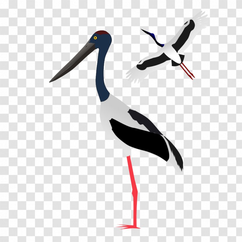 White Stork Clip Art - Neonet - Blacknecked Transparent PNG