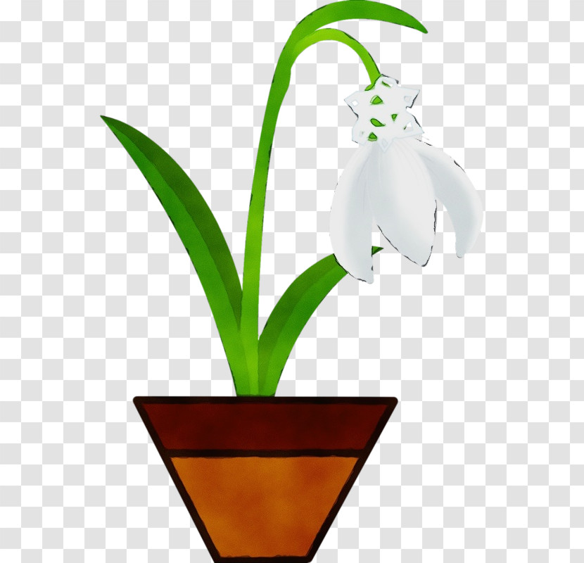 Flowerpot Flower Plant Houseplant Plant Stem Transparent PNG