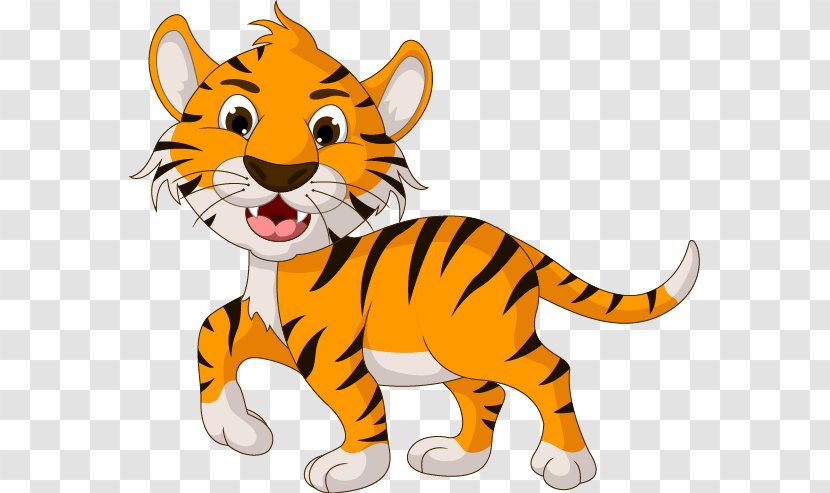 Tiger Cartoon Drawing Illustration Transparent PNG