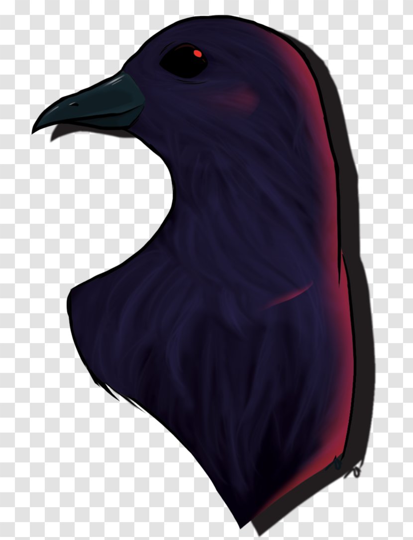 Beak Water Bird Neck Transparent PNG