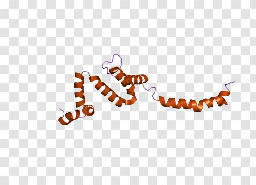 Rgs6 Regulator Of G Protein Signaling Logo - Wikipedia - Text Transparent PNG