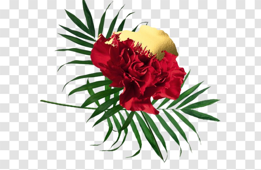 Garden Roses Floral Design Cut Flowers Carnation - Plant - Flower Transparent PNG