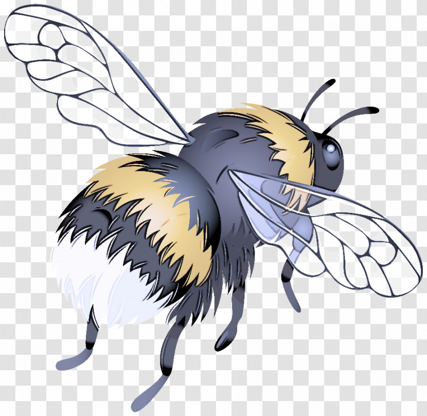 Bees Honey Bee Insects Worker Bee Honeycomb Transparent PNG