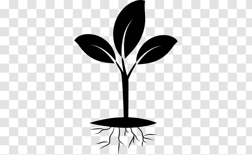 Clip Art Seedling Plants - Leaf Transparent PNG