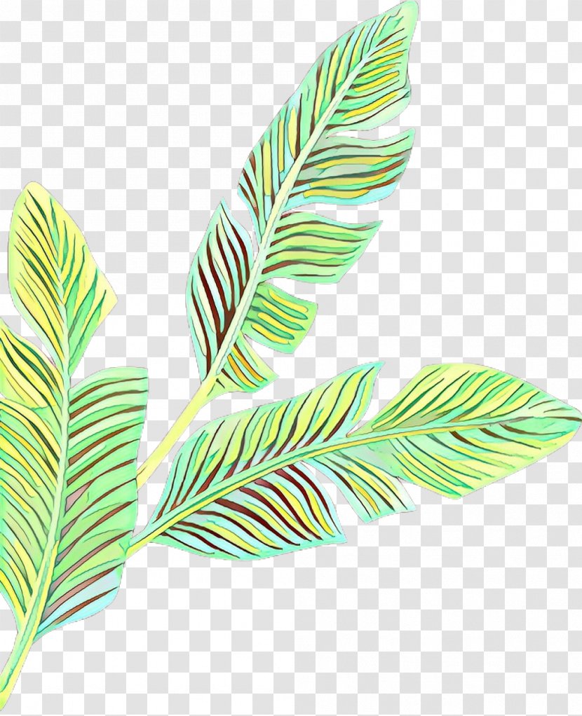 Coconut Tree Cartoon - Leaf - Arrowroot Family Flower Transparent PNG