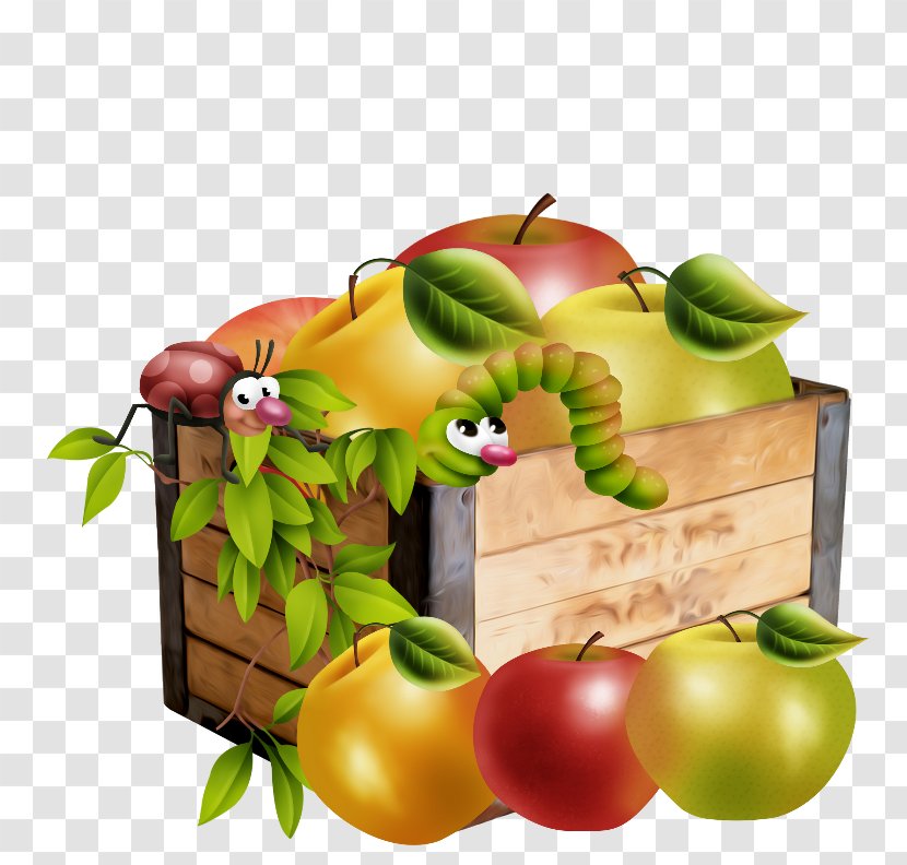 Apple Background - Accessory Fruit - Vegan Nutrition Transparent PNG
