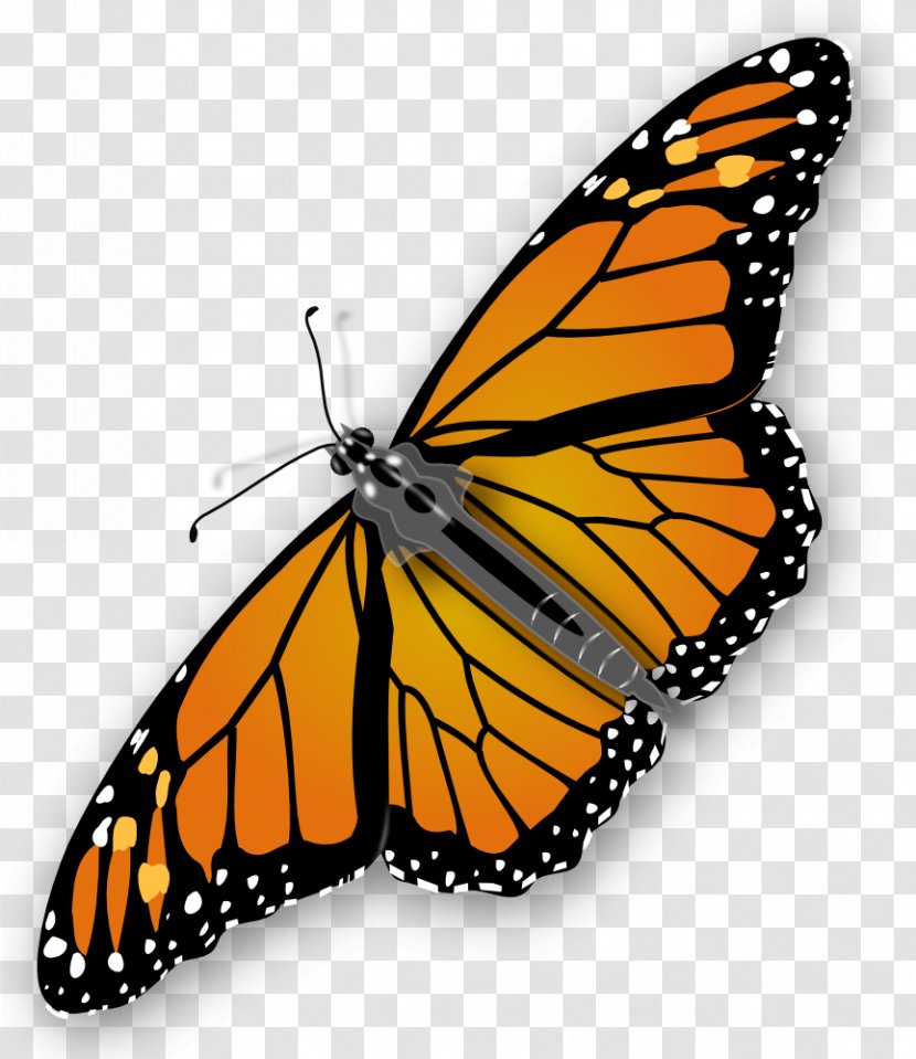 Monarch Butterfly Clip Art - Brush Footed - Clipart Transparent PNG