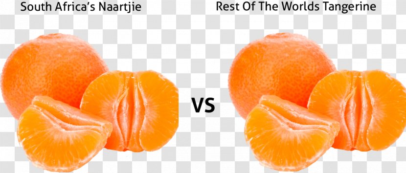 Clementine Tangerine South Africa Satsuma Mandarin Fruit - Natural Foods Transparent PNG