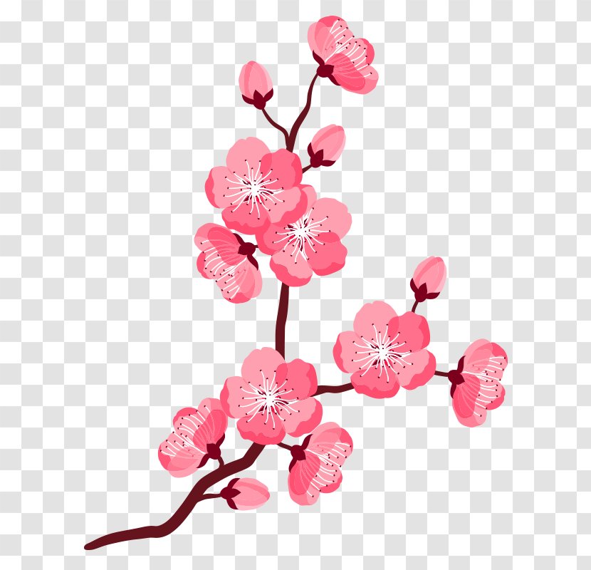 Clip Art Vector Graphics Cherry Blossom Illustration Openclipart - Peach Transparent PNG