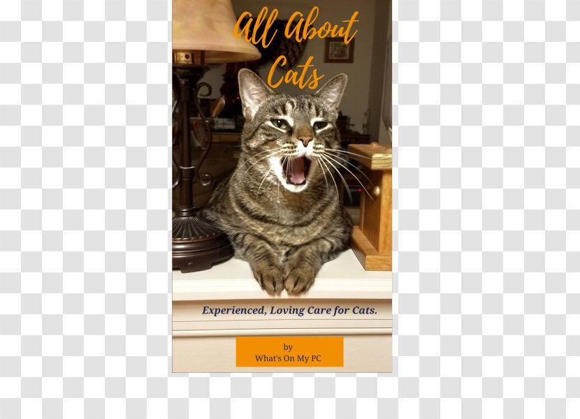 Dragon Li American Shorthair European California Spangled Whiskers - Domestic Shorthaired Cat - Creative Poster Design Transparent PNG