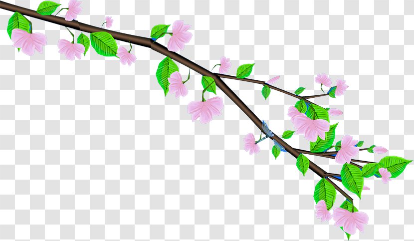 Animation Download - Blossom - Plum Flower Transparent PNG