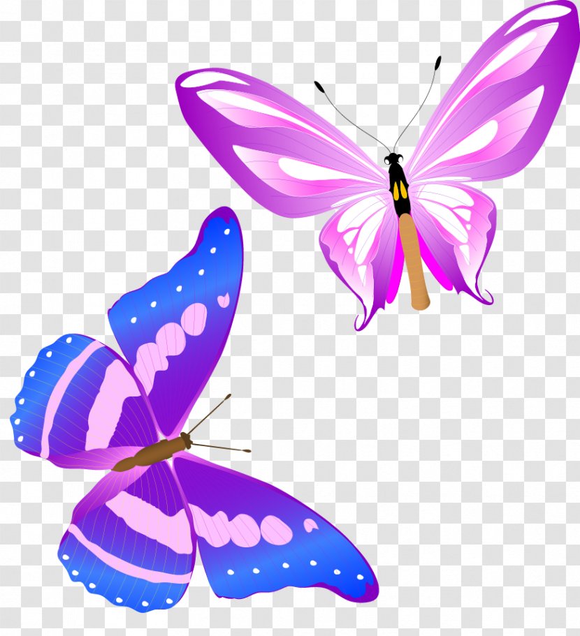 Monarch Butterfly Insect Clip Art - Antenna - Fun Colorful Vector Beautiful Animal Transparent PNG
