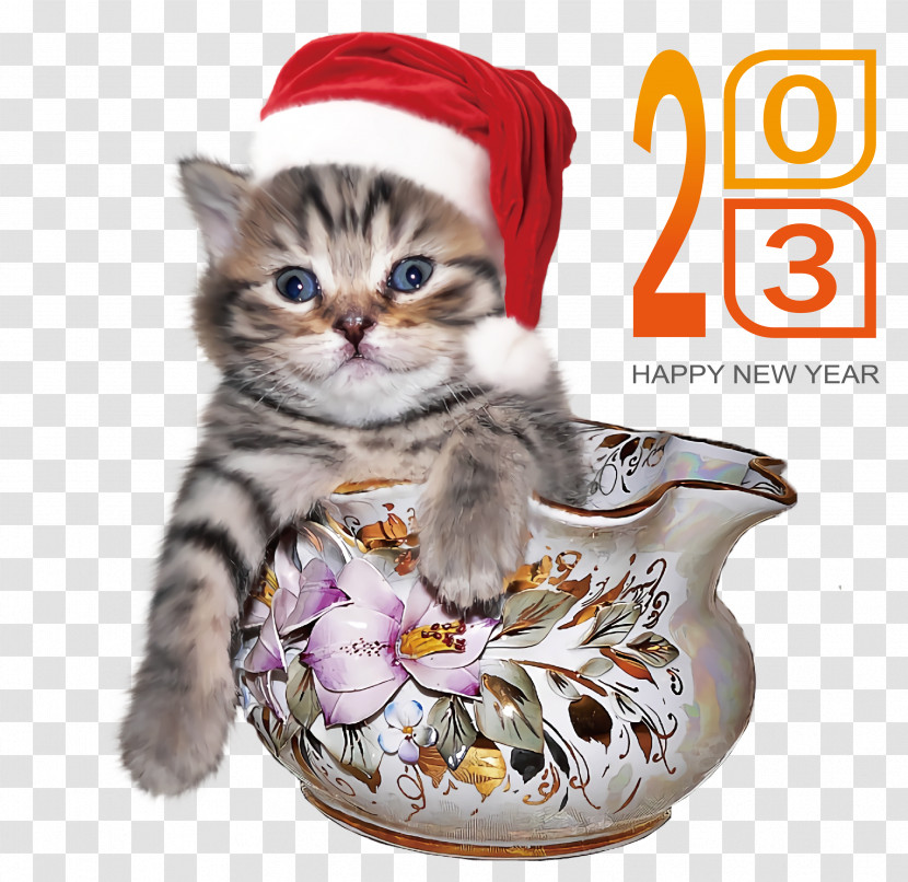 New Year Transparent PNG