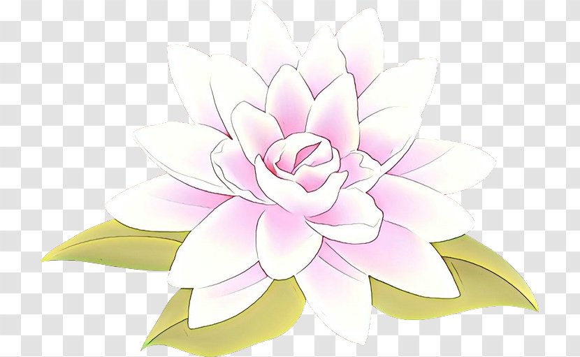 Floral Design Cut Flowers Petal - Plant Transparent PNG