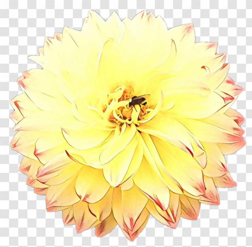 Artificial Flower Transparent PNG