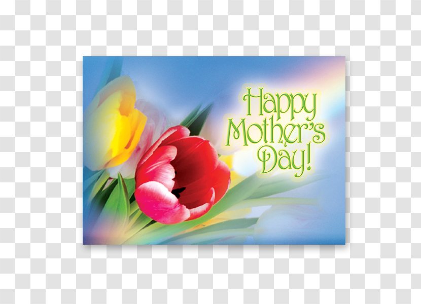 Greeting & Note Cards Mother's Day Tulip Gift Transparent PNG