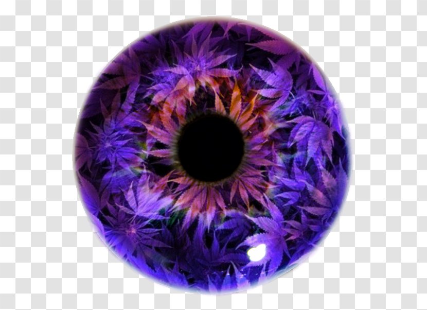 Iris Eye Pupil Violet Lens Transparent PNG
