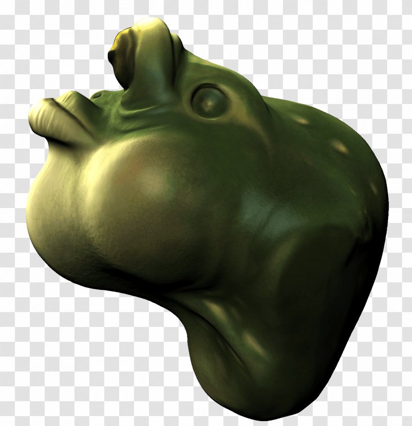 Frog Green - Amphibian Transparent PNG