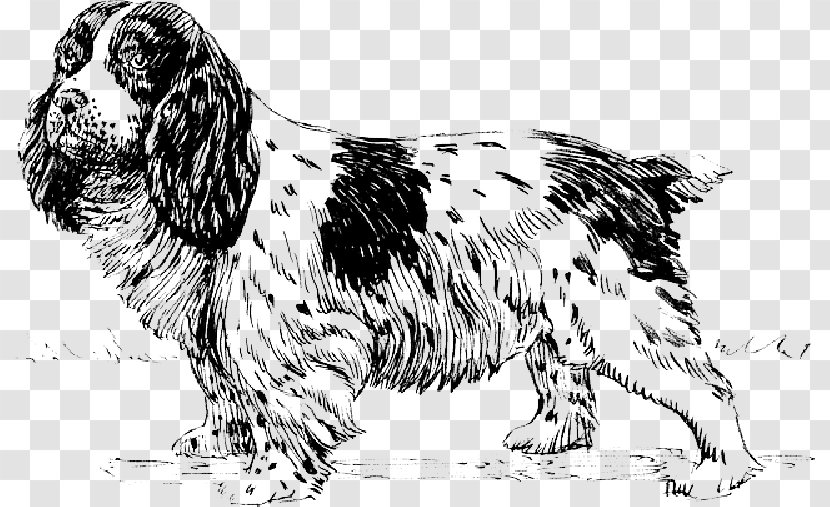 Clip Art Vector Graphics Cocker Spaniel - Vertebrate - Canidae Transparent PNG