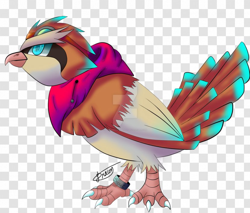 Drawing Rayquaza Beak Dragon - Bird - Pidgey Transparent PNG